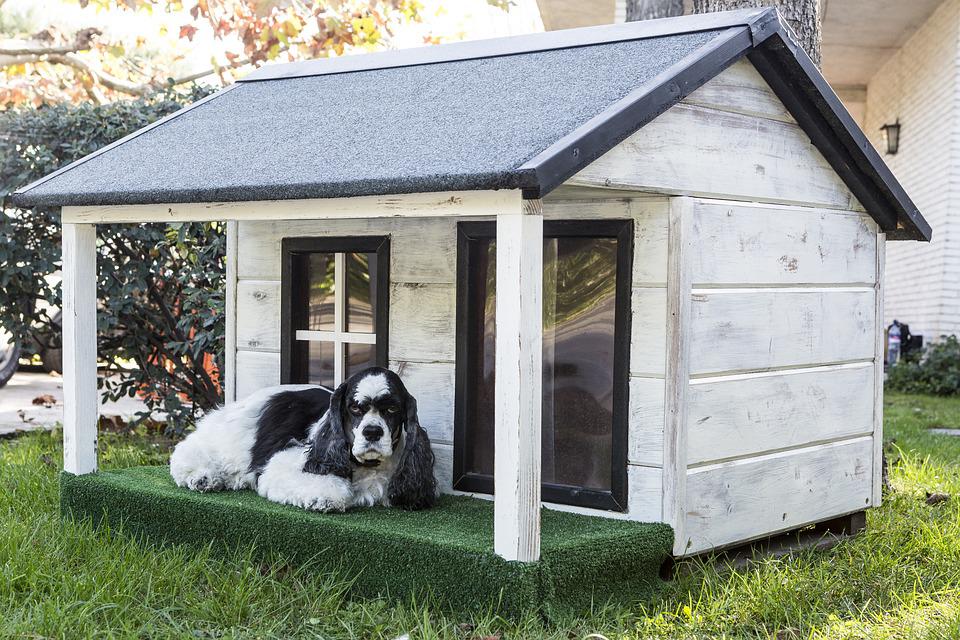 Wooden Dog Enclosures